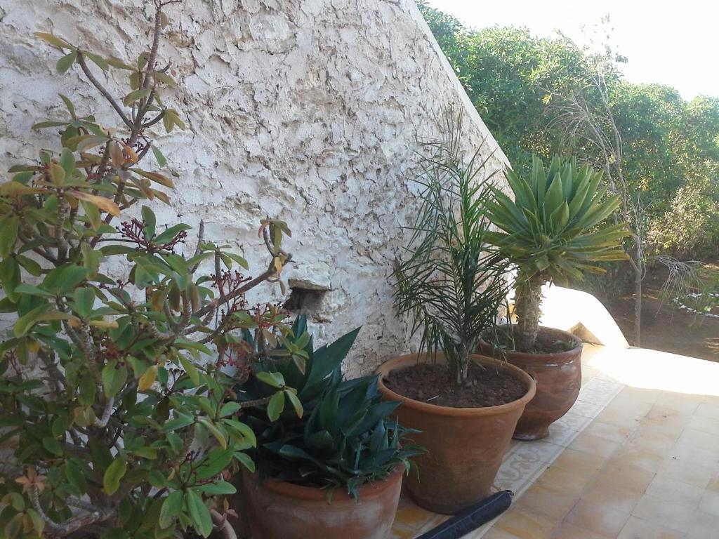 La Maison Essaouira Hotell Exteriör bild